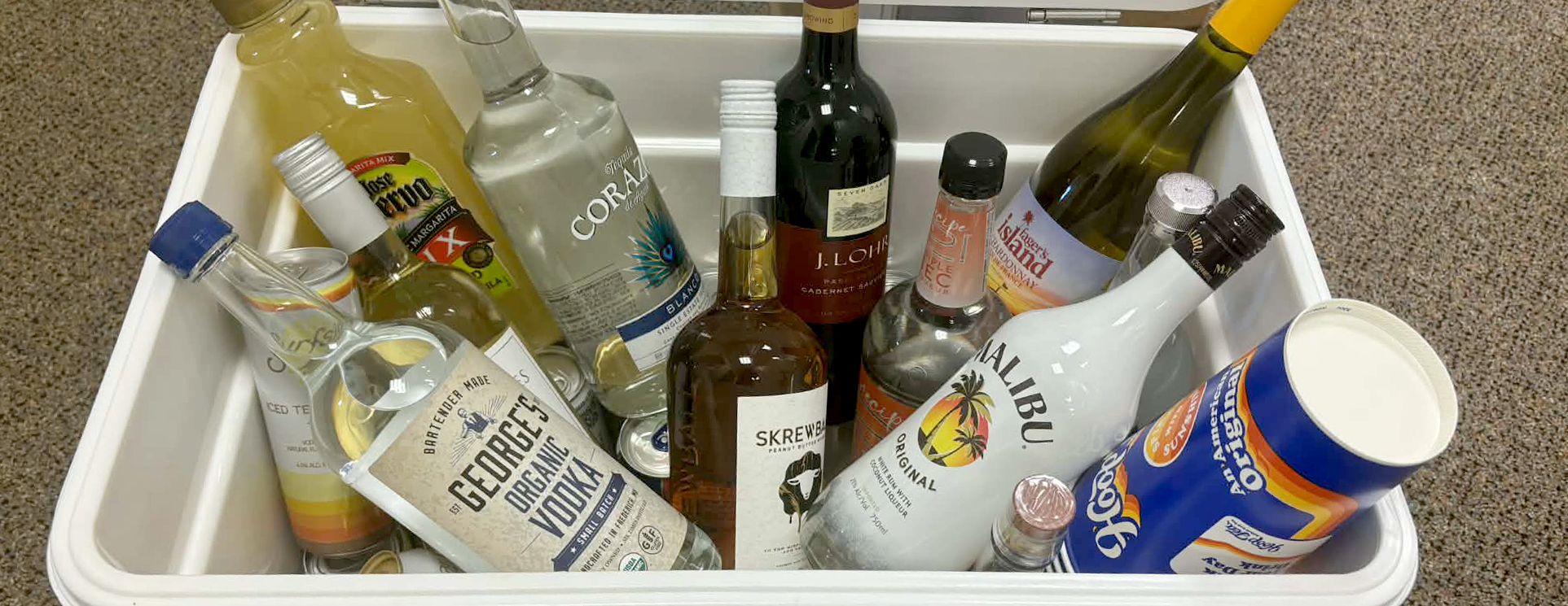 2026 Penguin Swim - Cooler of Cheer